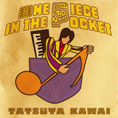 One Piece In The Pocket